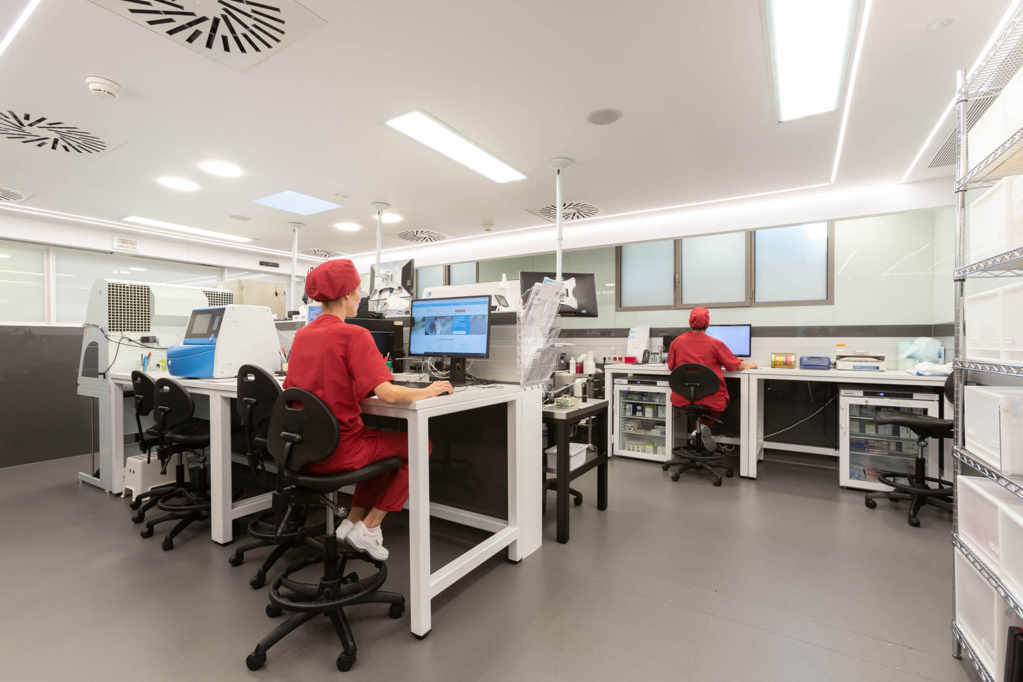 ¿Cuál es la diferencia entre la donación de ovocitos y embriones?