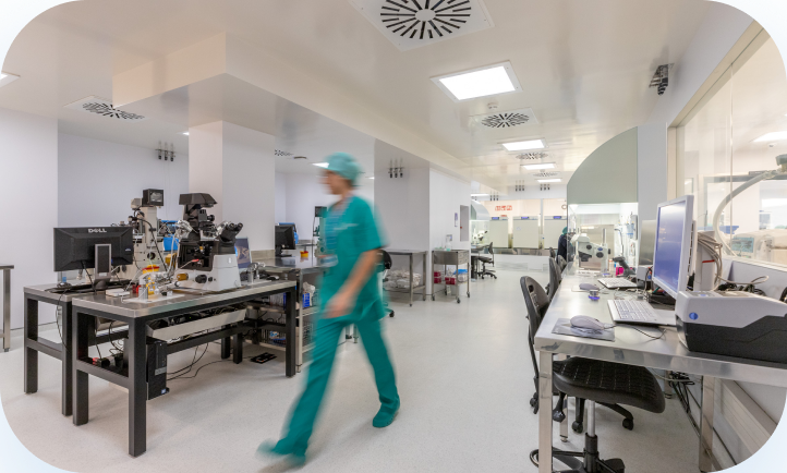 óvulos vitrificados