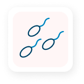 fase-muestra-seminal